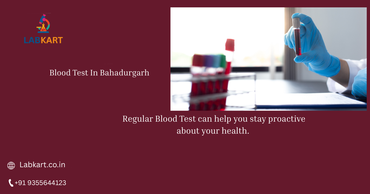 Featured image of blog: Blood Test In Bahadurgarh