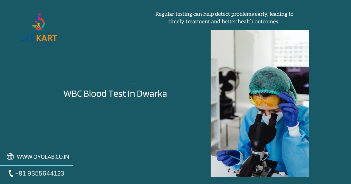 Featured image of blog: WBC Blood Test In Dwarka