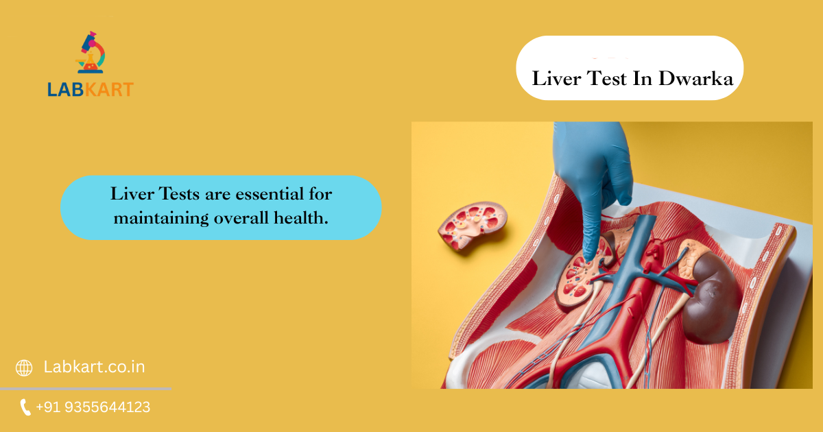 Featured image of blog: Liver Test In Dwarka