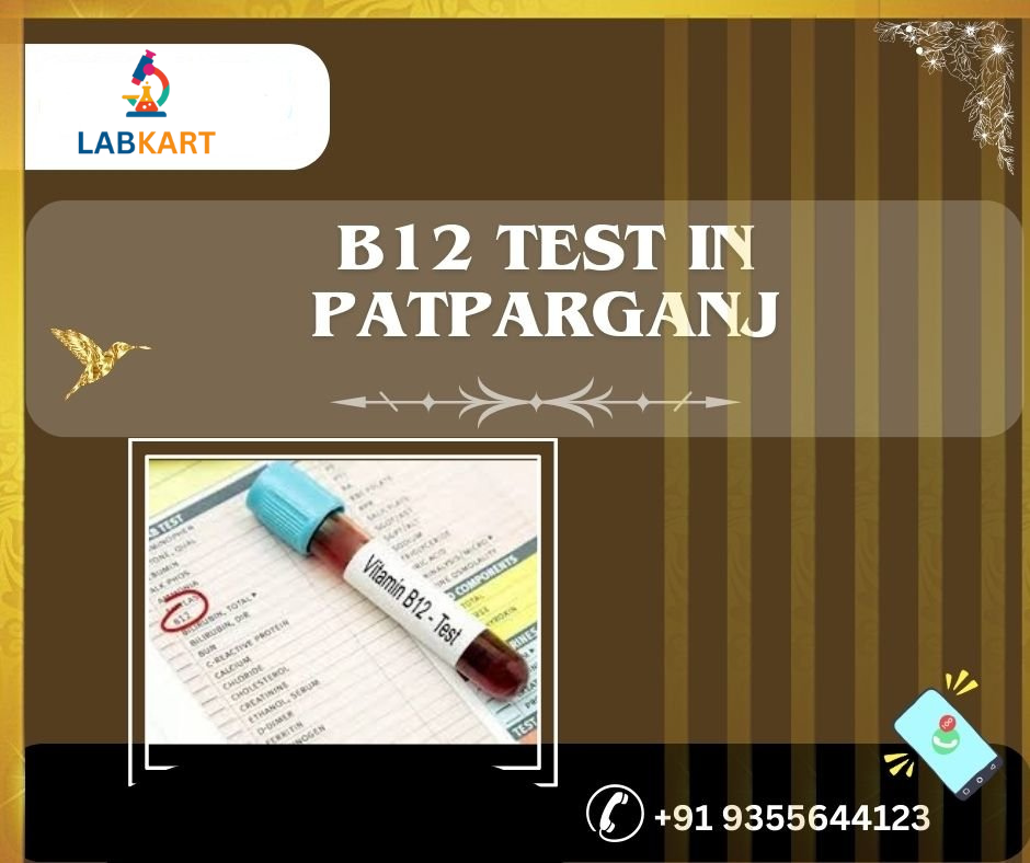 Featured image of blog: B12 test in patparganj