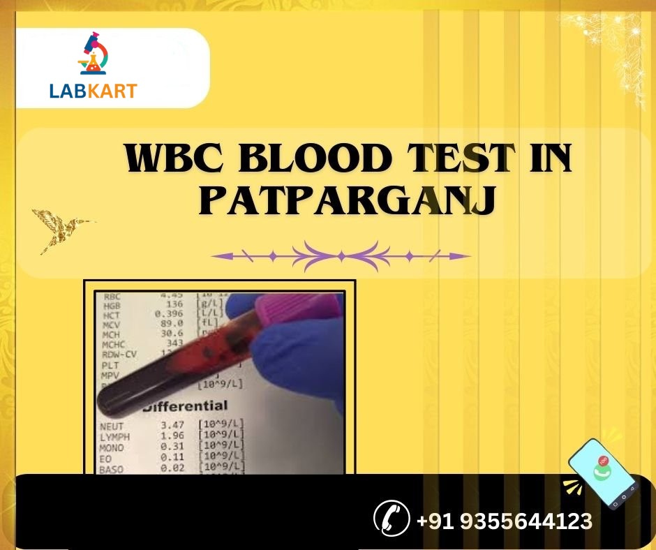 Featured image of blog: WBC blood test in patparganj