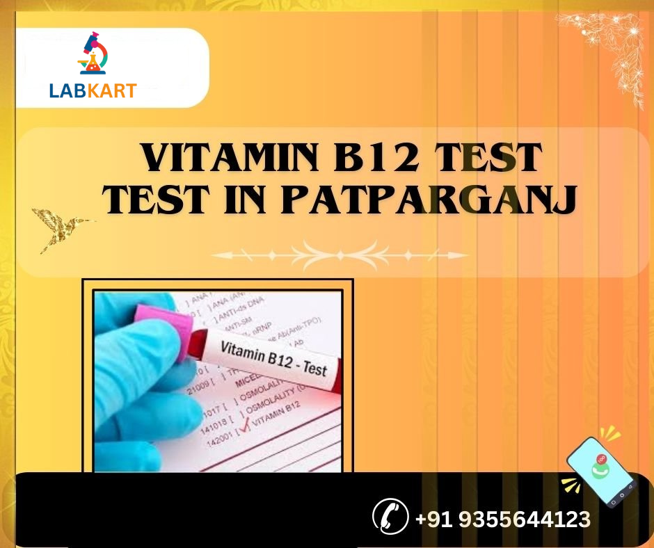 Featured image of blog: vitamin b12 test test in patparganj