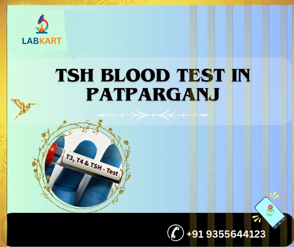 Featured image of blog: TSH blood test in patparganj