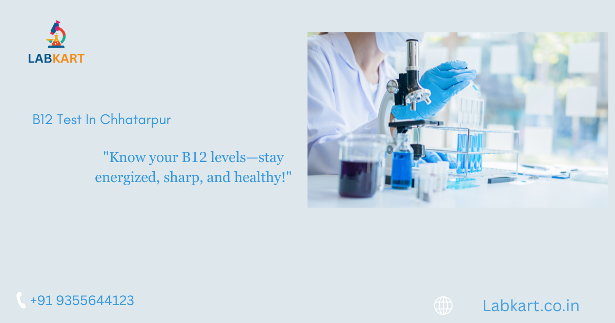 Featured image of blog: B12 Test In Chhatarpur