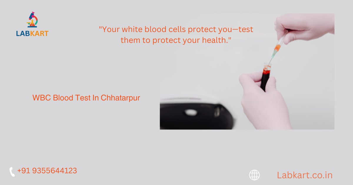 Featured image of blog: WBC Blood Test In Chhatarpur