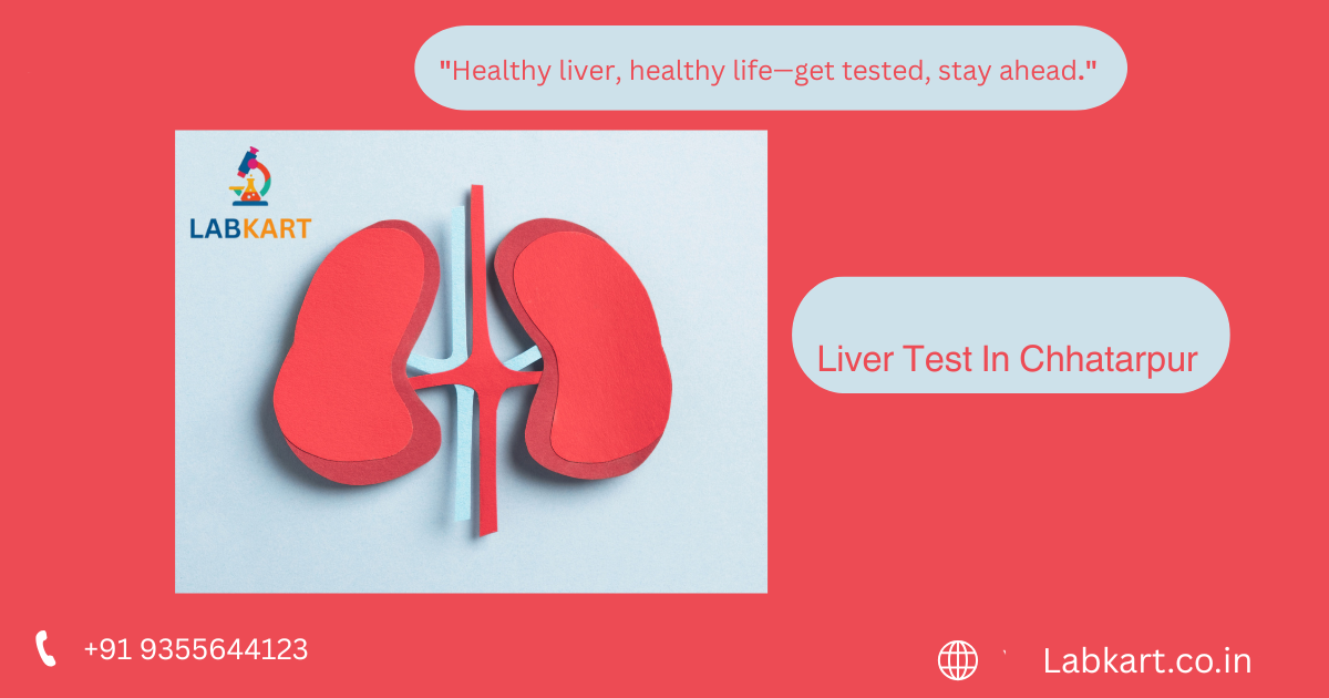 Featured image of blog: Liver Test In Chhatarpur
