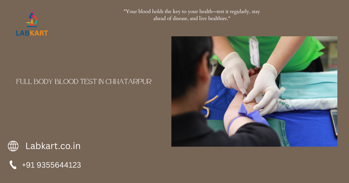 Featured image of blog: Full Body Blood Test In Chhatarpur