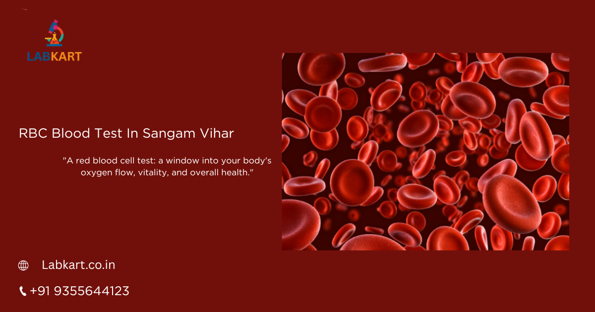 Featured image of blog: RBC Blood Test In Sangam Vihar
