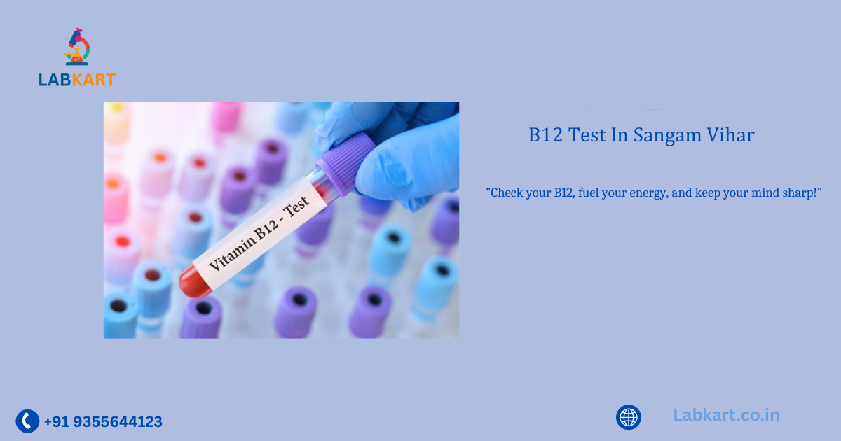 Featured image of blog: B12 Test In Sangam Vihar