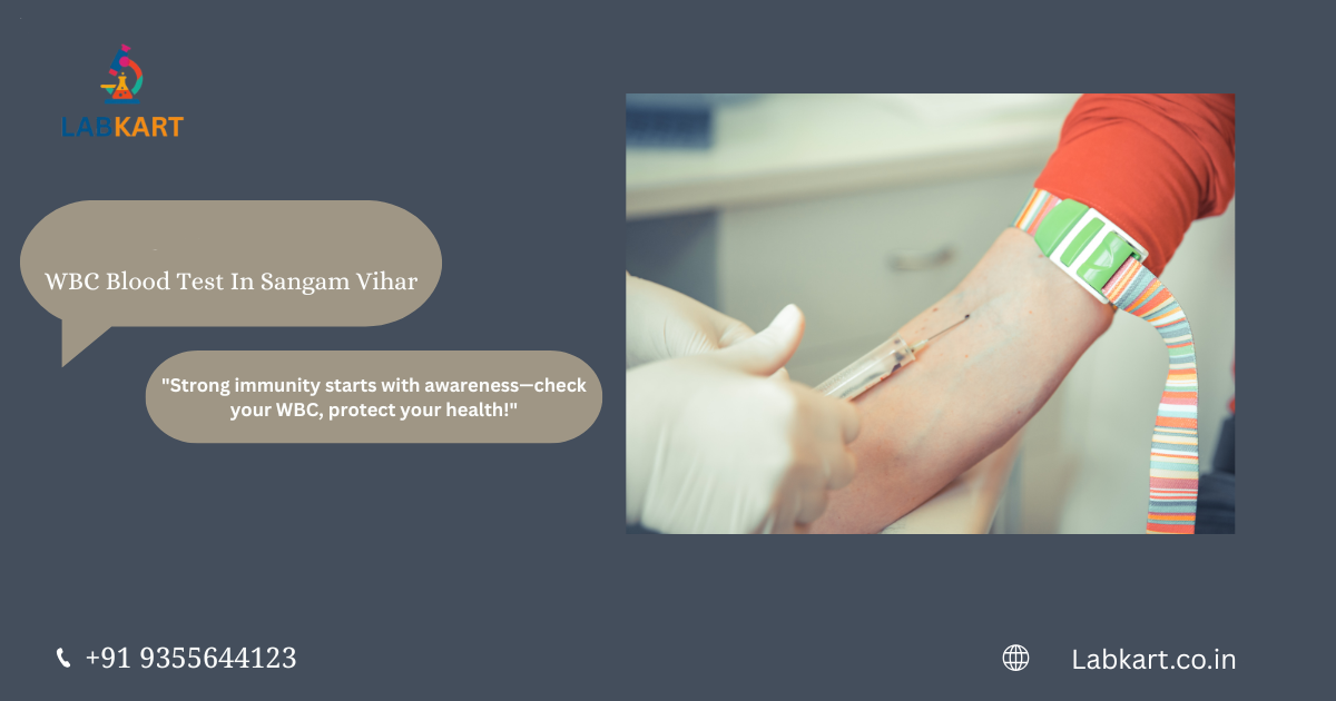 Featured image of blog: WBC Blood Test In Sangam Vihar
