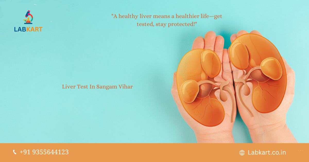 Featured image of blog: Liver Test In Sangam Vihar