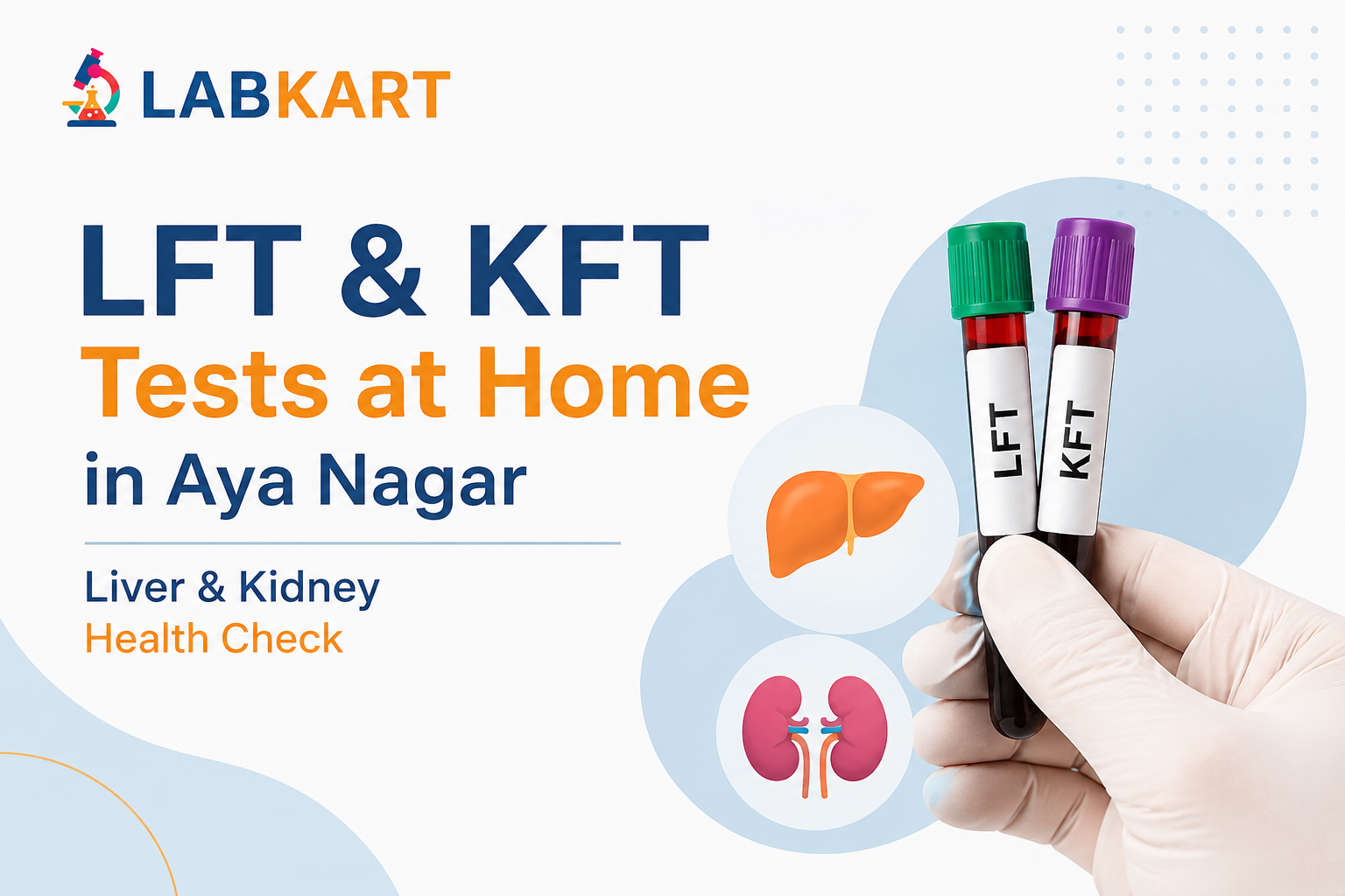LFT & KFT Tests at Home in Aya Nagar: Liver & Kidney Health Check